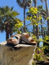 BrunBeige sandal thumbnail